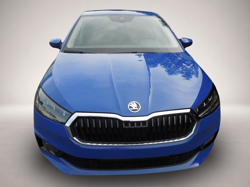 Skoda Fabia (05/2026, Benzin)