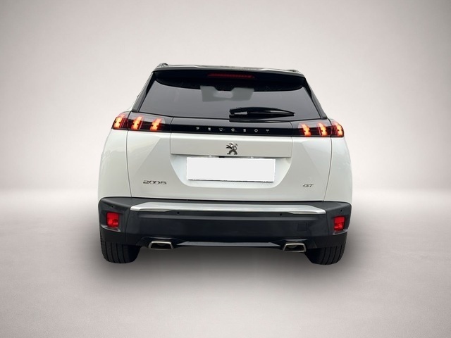 Peugeot 2008 (03/2022, Benzin)
