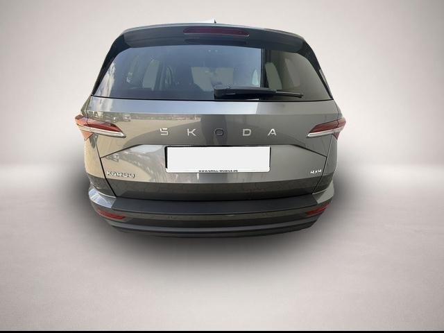 Skoda Karoq (08/2025, Diesel)