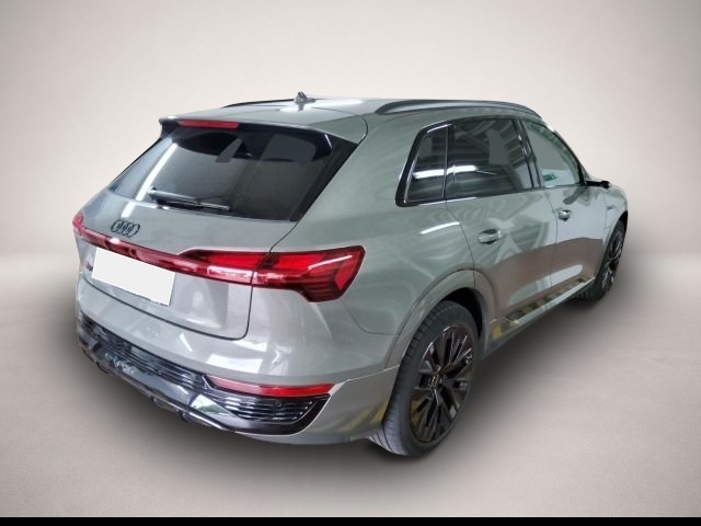 Audi Q8 e-tron (04/2023, ELECTRIC)