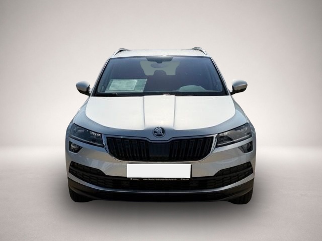 Skoda Karoq (04/2022, )