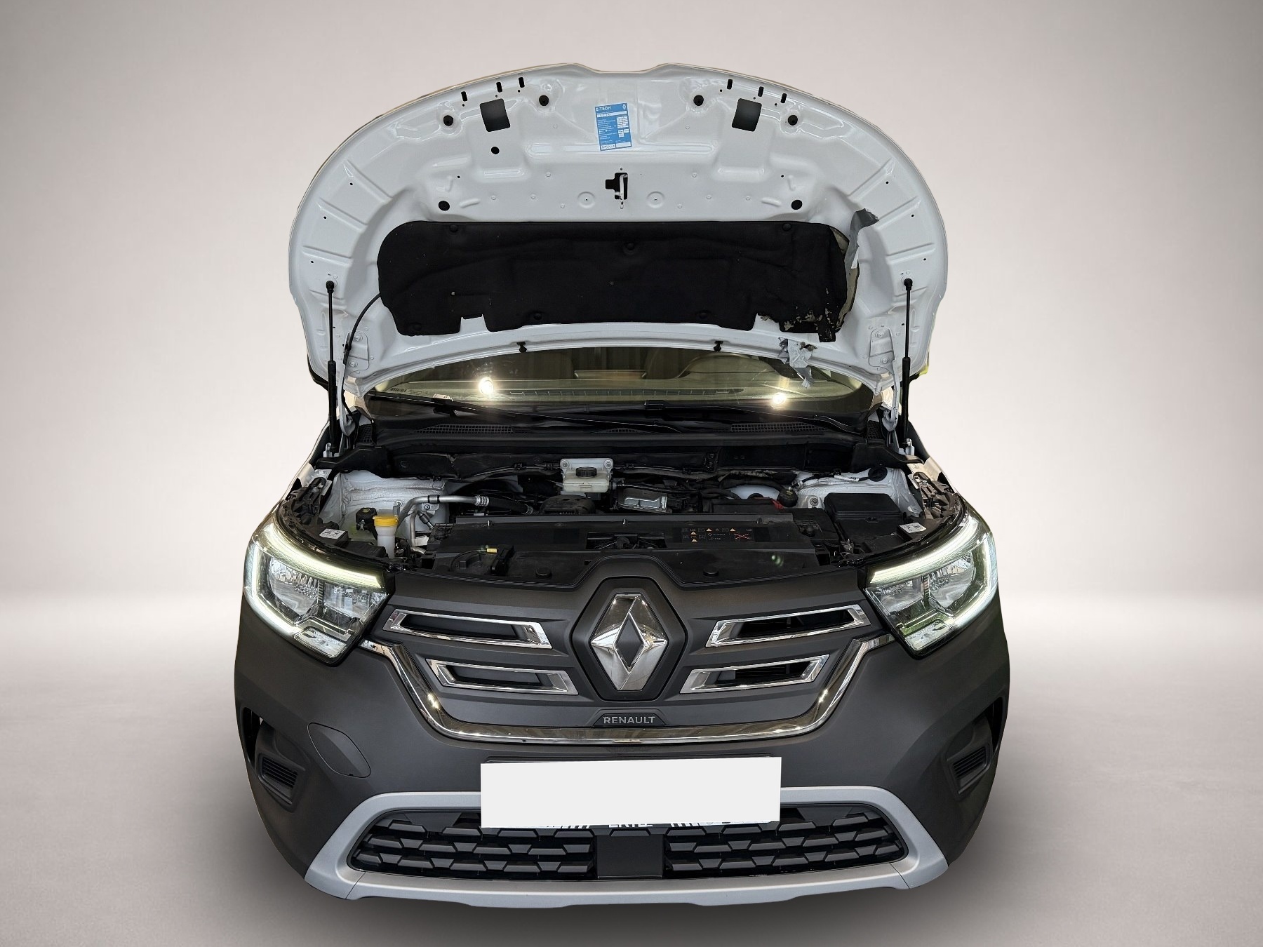 Renault Other (12/2022, ELECTRIC)