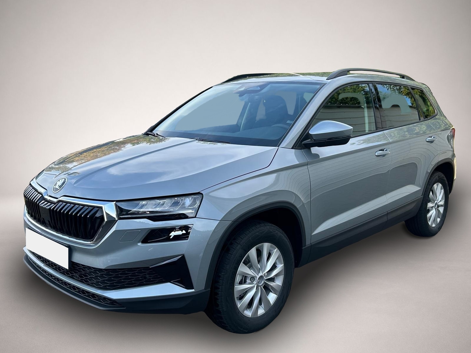 Skoda Karoq, Bild 3 von 5