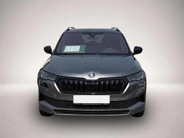 Skoda Karoq (11/2022, )