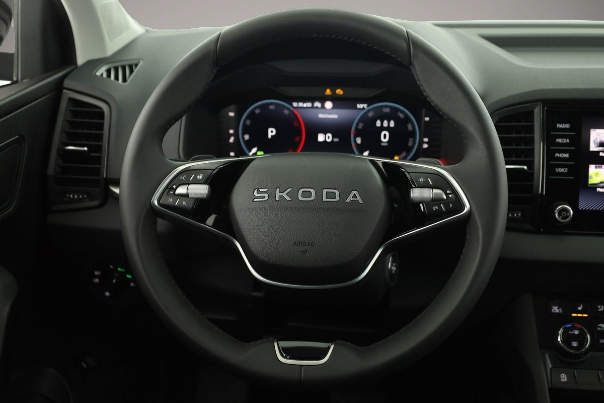 Skoda Karoq (03/2026, Diesel)