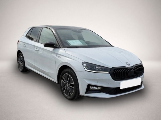 Skoda Fabia (08/2023, Benzin)