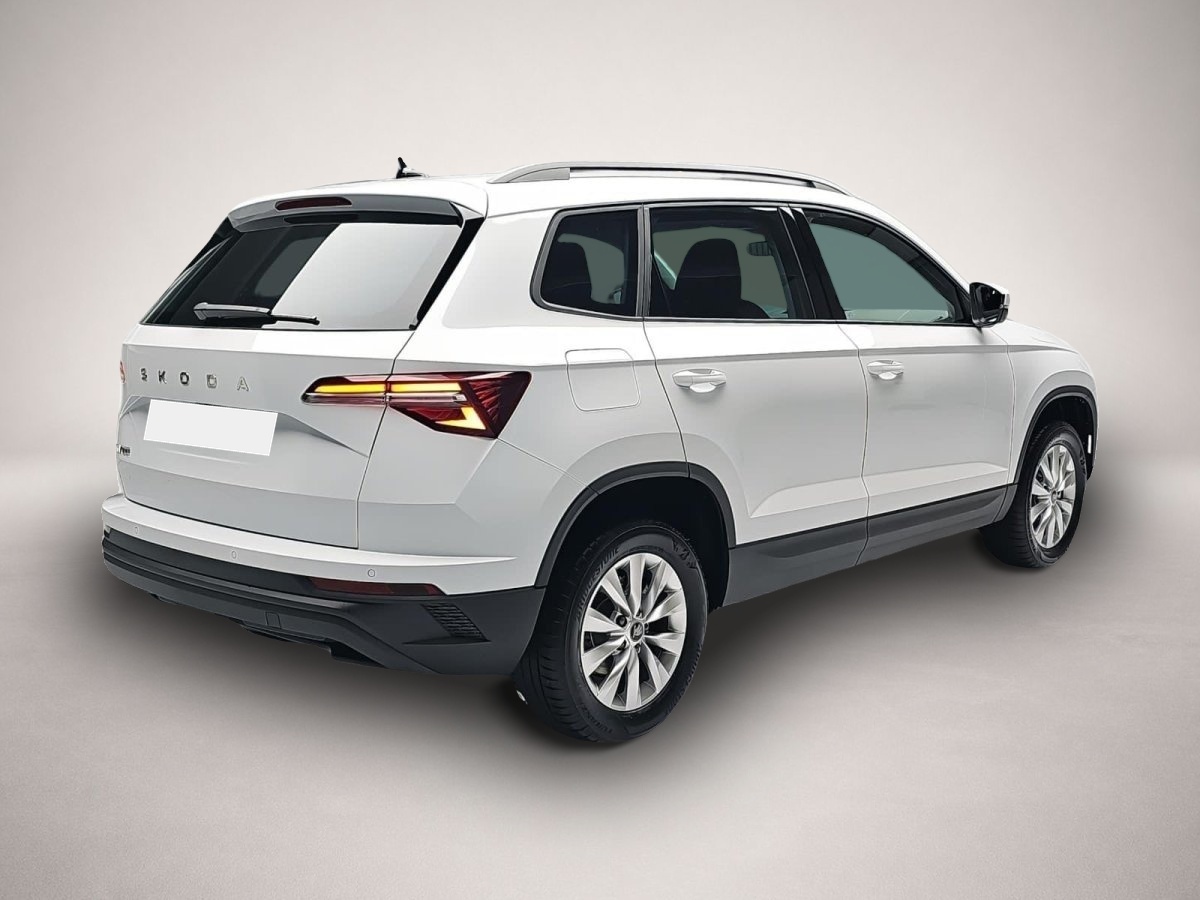 Skoda Karoq, Bild 2 von 4