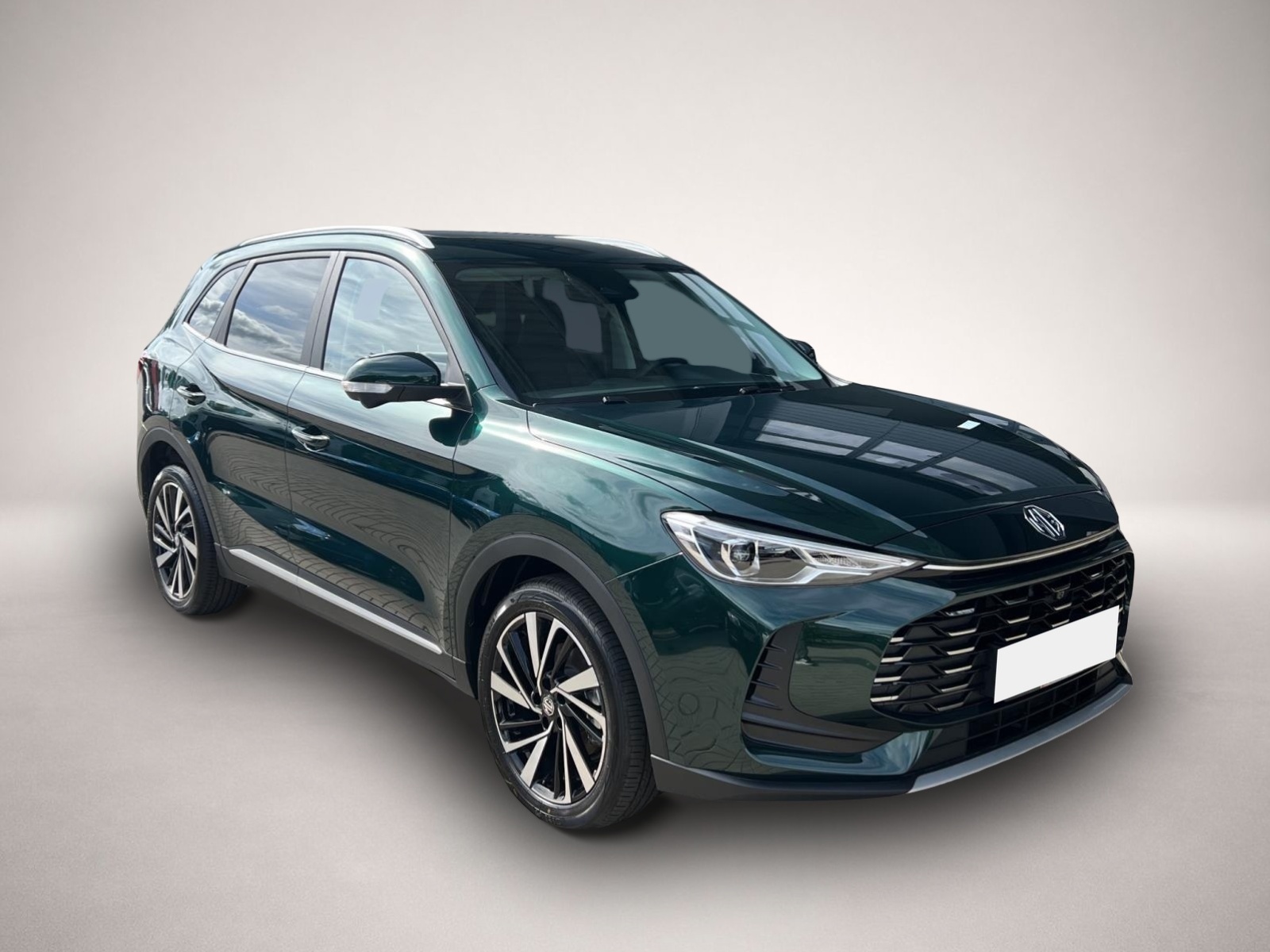 Mg ZS, image 7 of 8