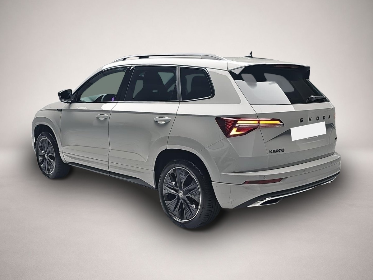Skoda Karoq (01/2026, Benzin)