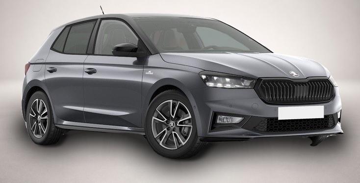 Skoda Fabia (, Benzin)