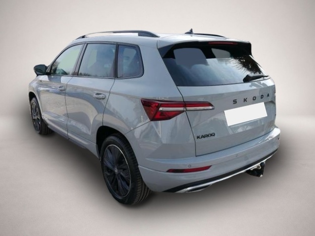 Skoda Karoq (04/2026, Benzin)