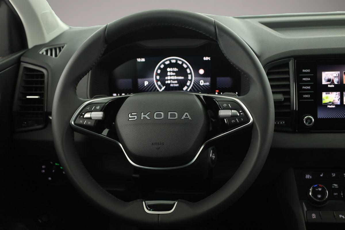 Skoda Karoq (03/2026, Diesel)