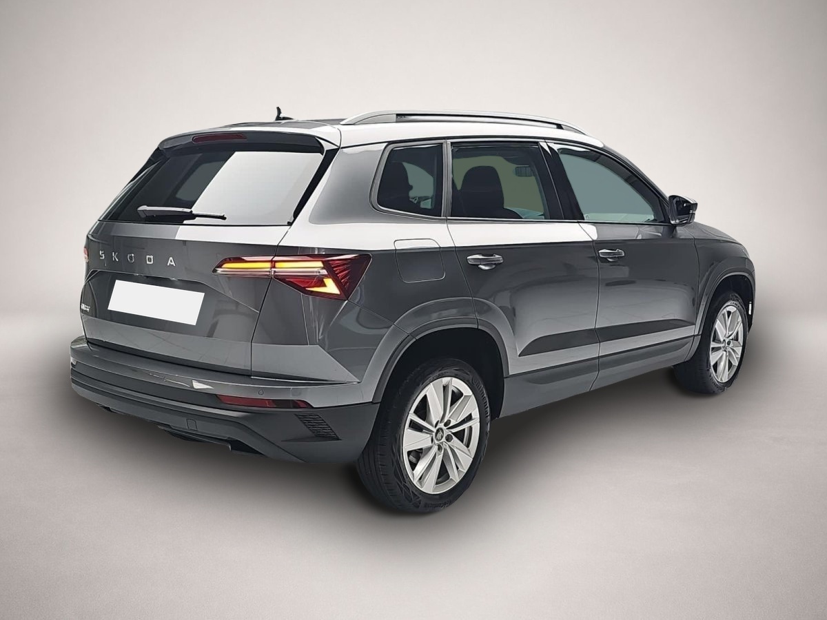Skoda Karoq, Bild 3 von 5