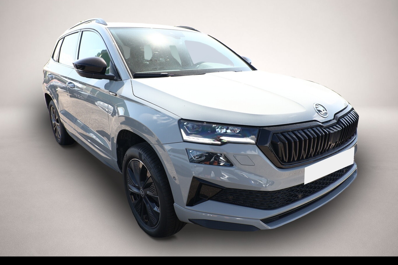 Skoda Karoq (01/2026, Diesel)
