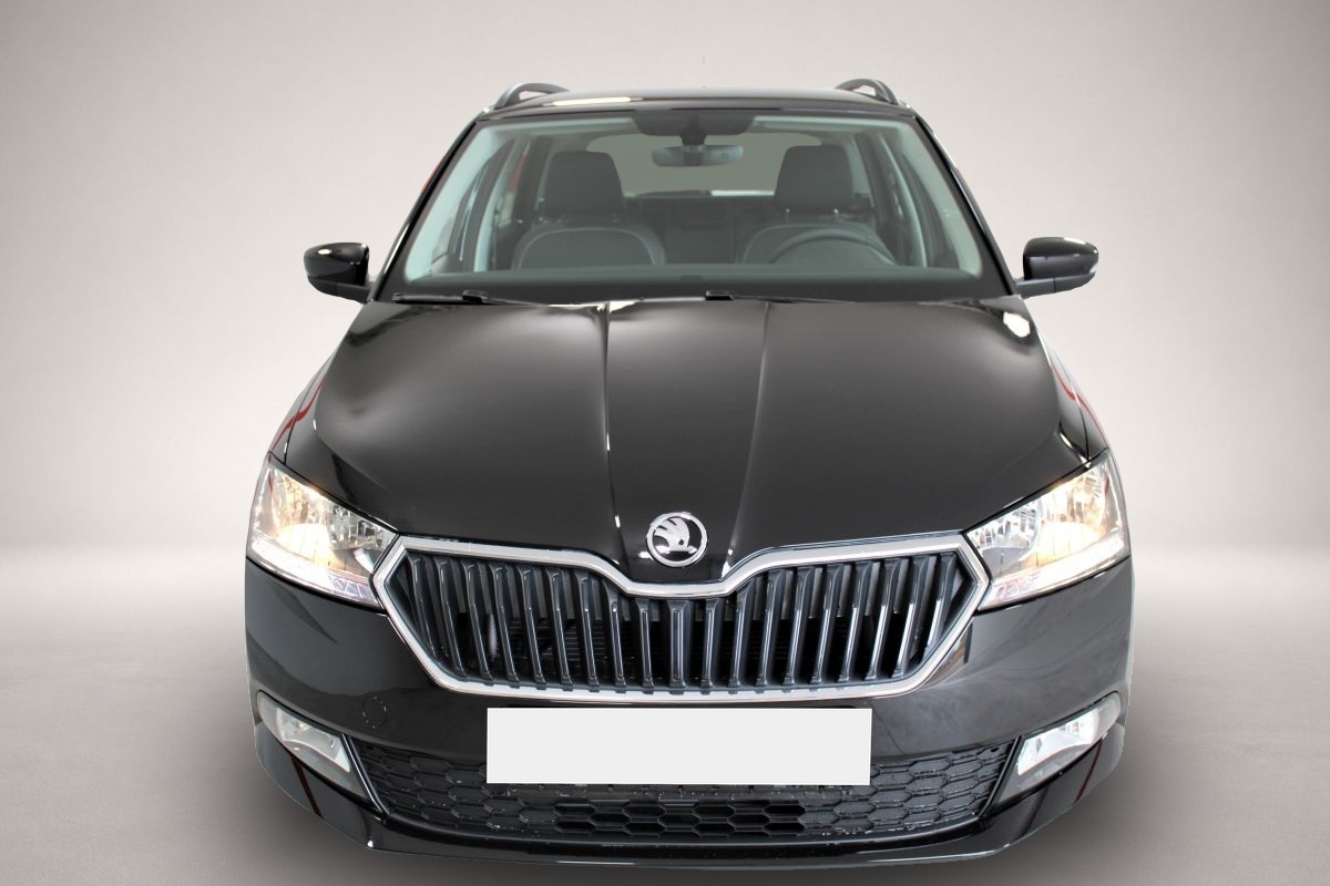 Skoda Fabia (10/2022, Benzin)