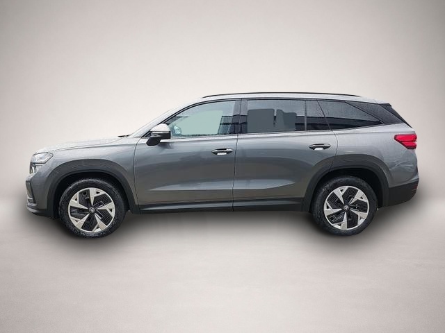 Skoda Kodiaq (01/2026, Benzin)