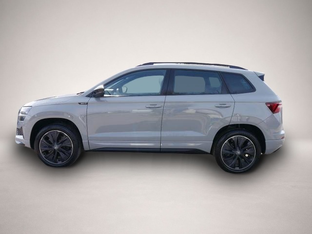 Skoda Karoq (04/2026, Benzin)