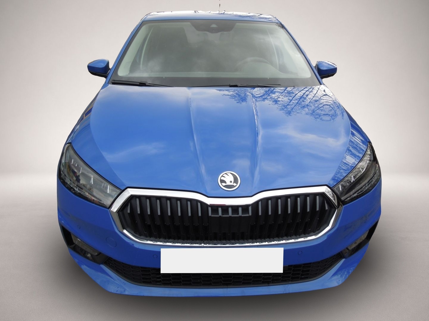 Skoda Fabia (06/2026, Benzin)