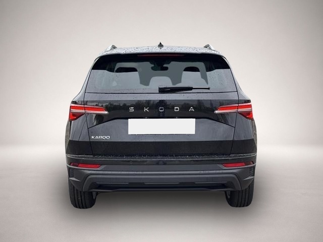 Skoda Karoq (08/2026, Benzin)