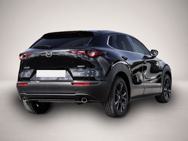 Mazda CX-30 (10/2025, Benzin)