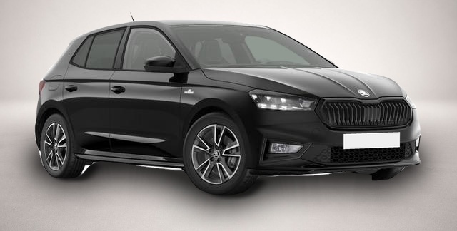 Skoda Fabia (, Benzin)