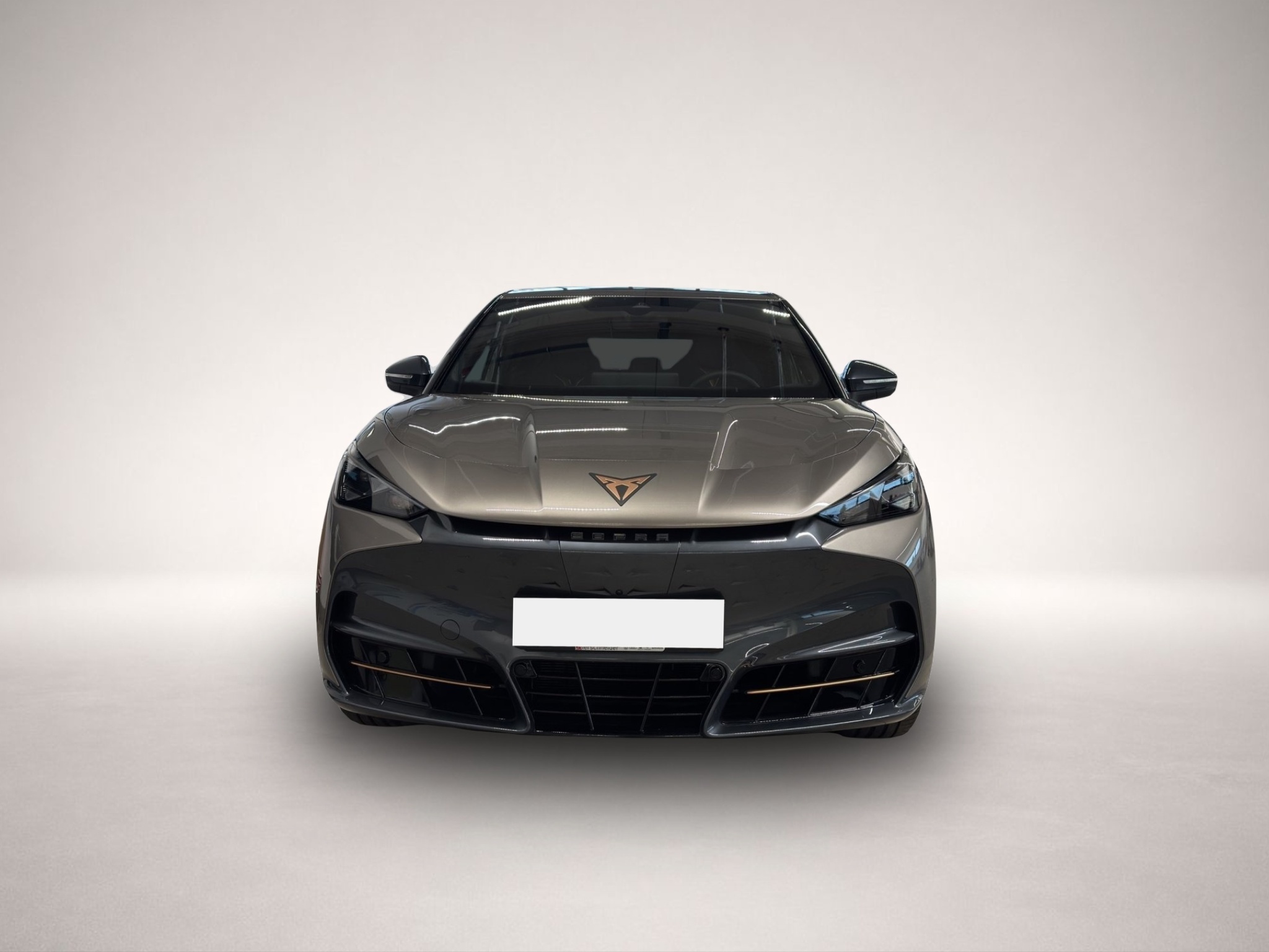CUPRA Tavascan, Bild 2 von 5