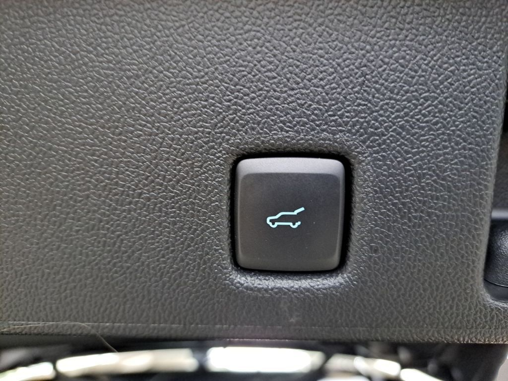 Ford Kuga (08/2023, )