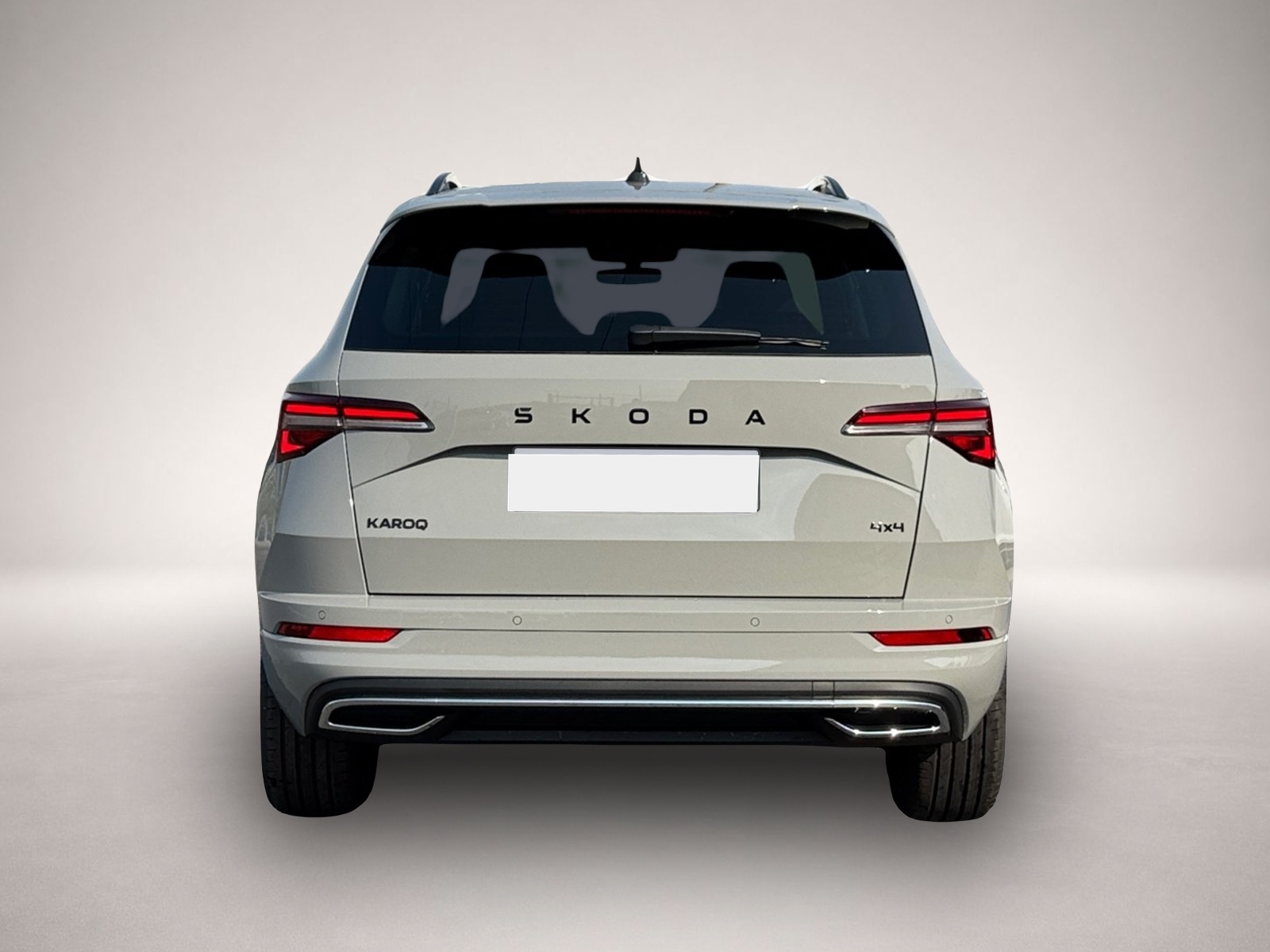 Skoda Karoq (06/2026, Benzin)