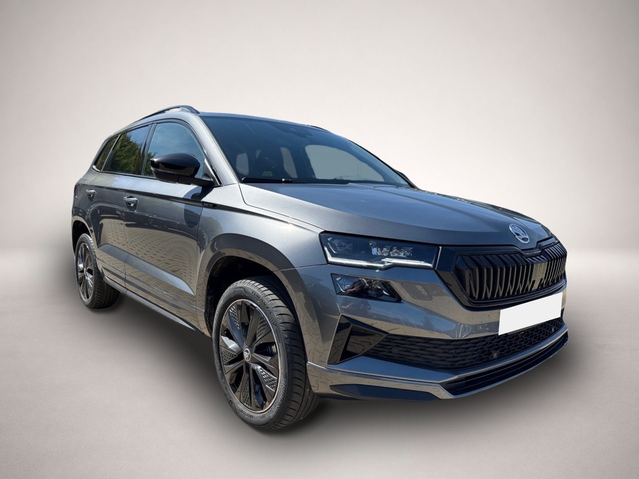 Skoda Karoq (, Benzin)