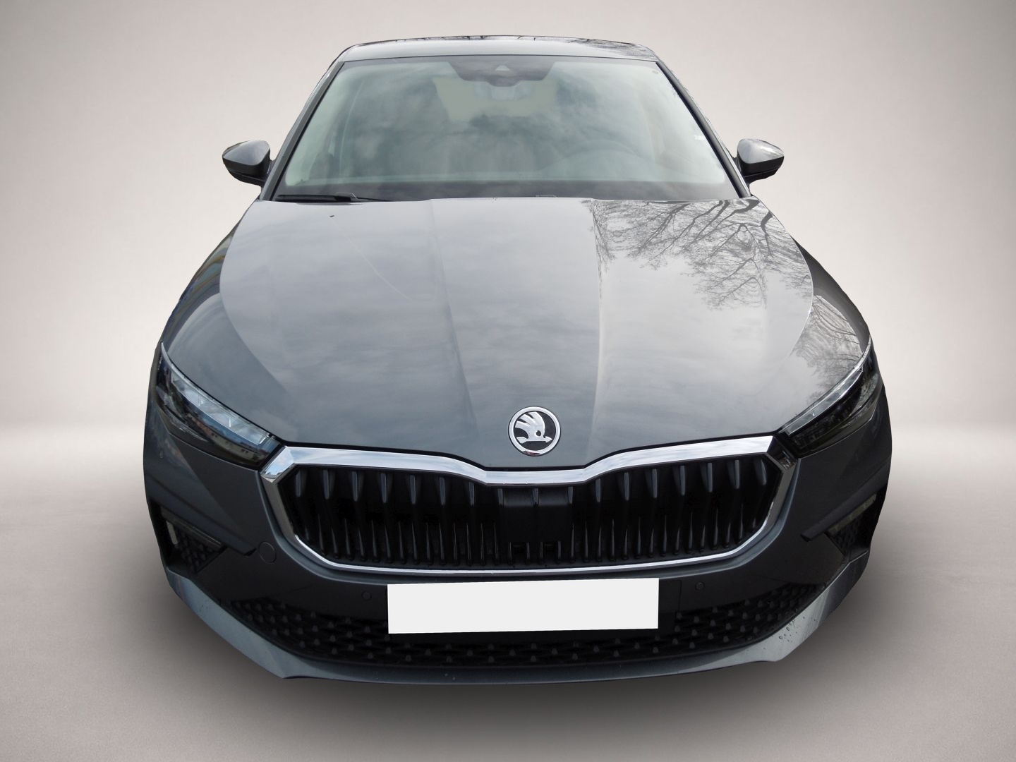 Skoda Scala, Bild 2 von 5
