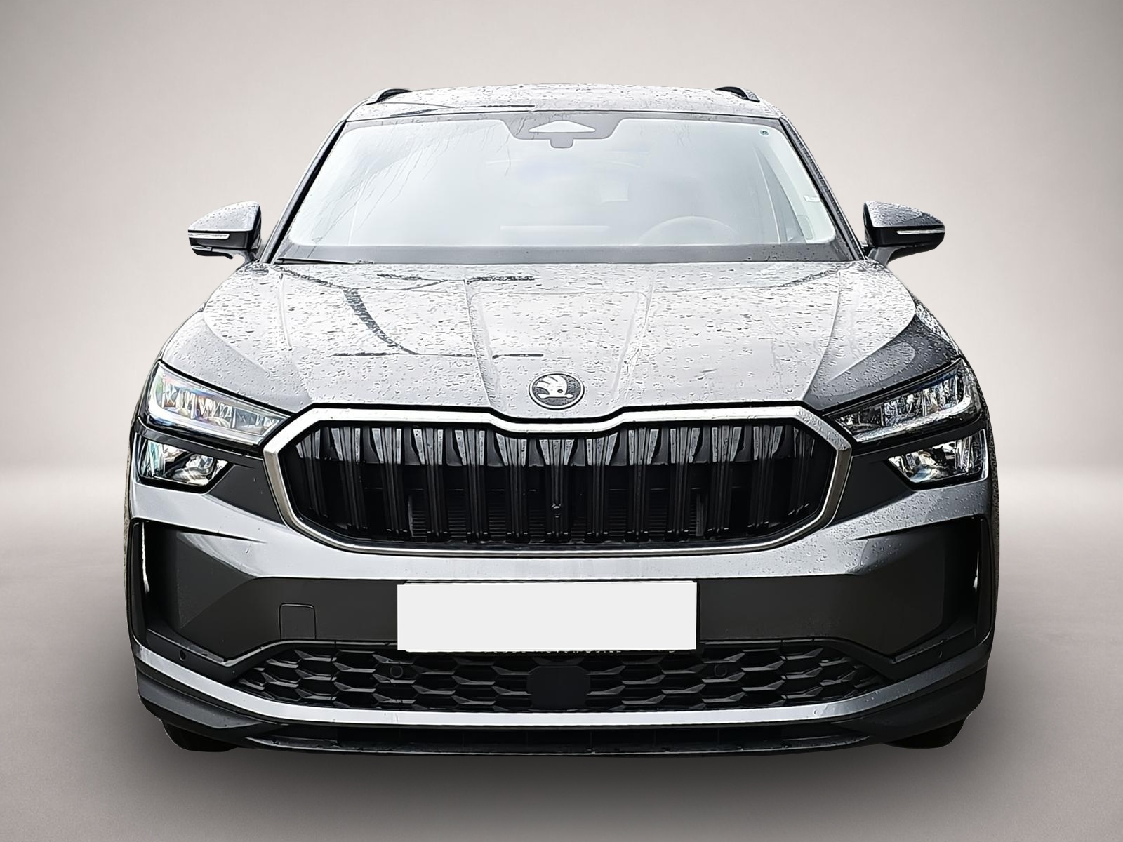 Skoda Kodiaq (01/2026, Benzin)