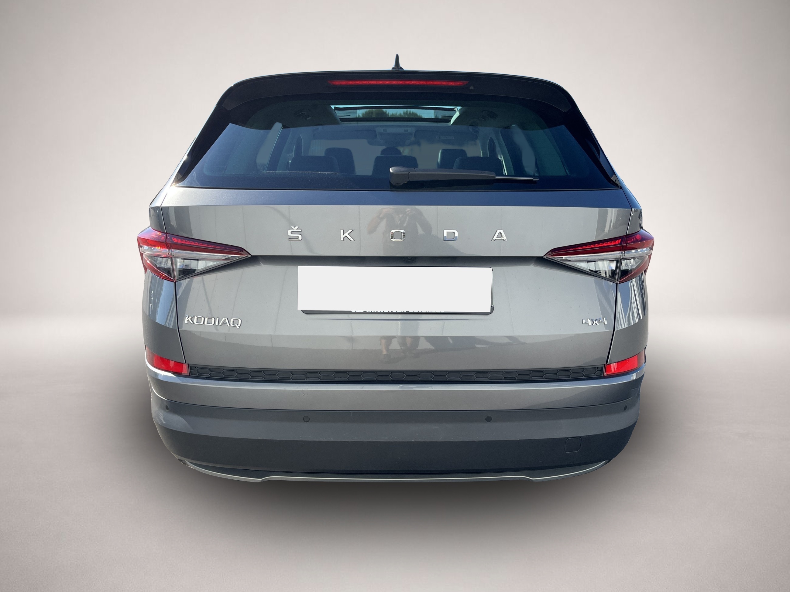 Skoda Kodiaq (04/2023, Diesel)