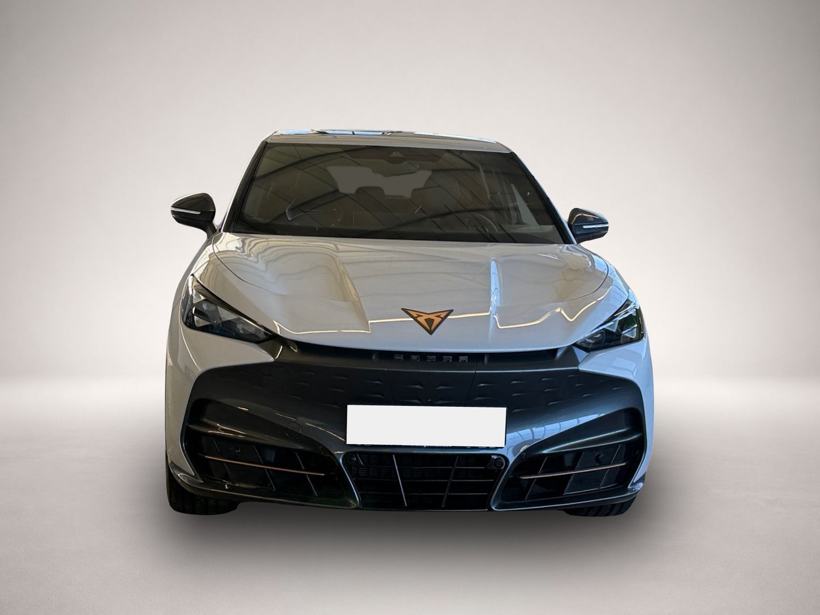 Cupra Tavascan (05/2026, ELECTRIC)