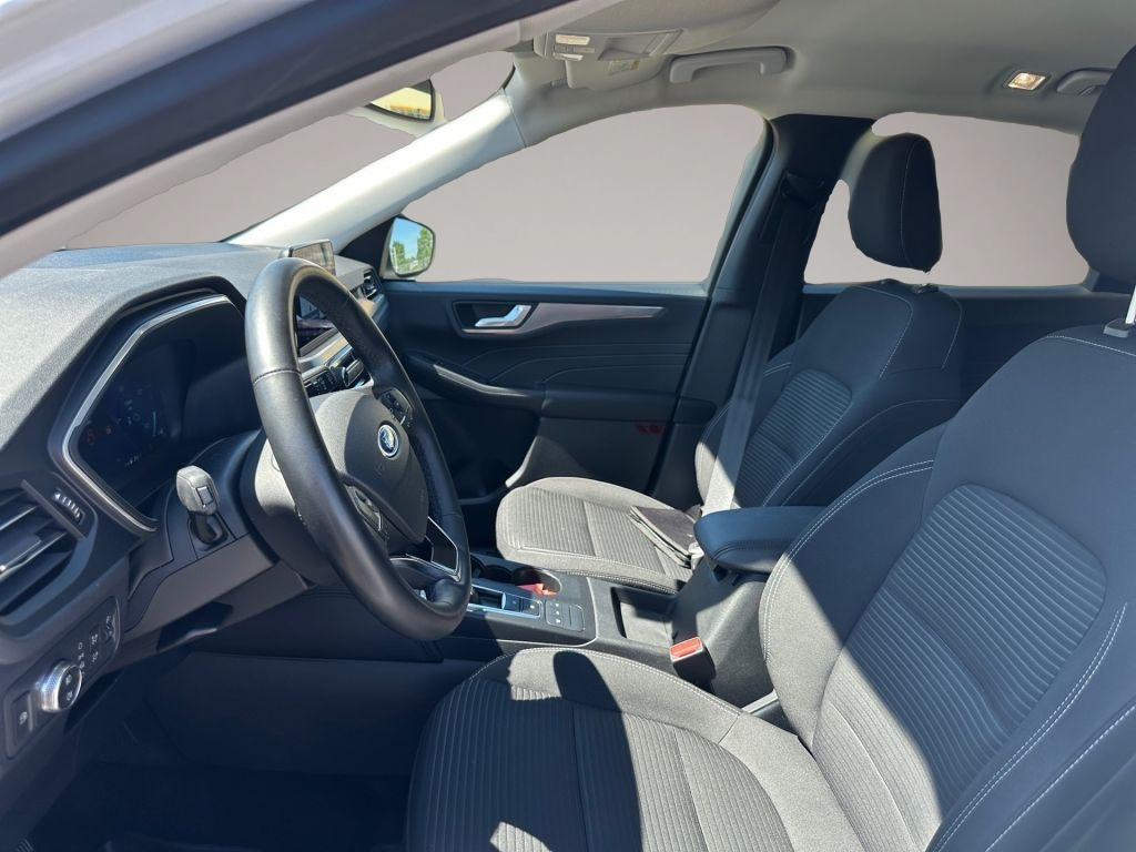 Ford Kuga (02/2022, )