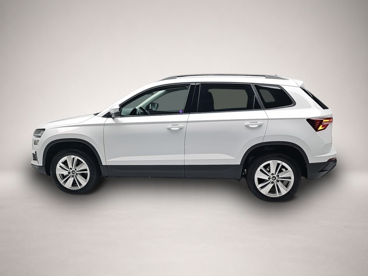 Skoda Karoq, Bild 4 von 4