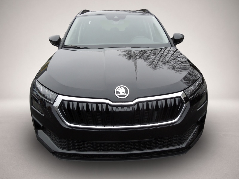 Skoda Karoq, Bild 2 von 5