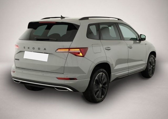 Skoda Karoq (03/2026, Benzin)