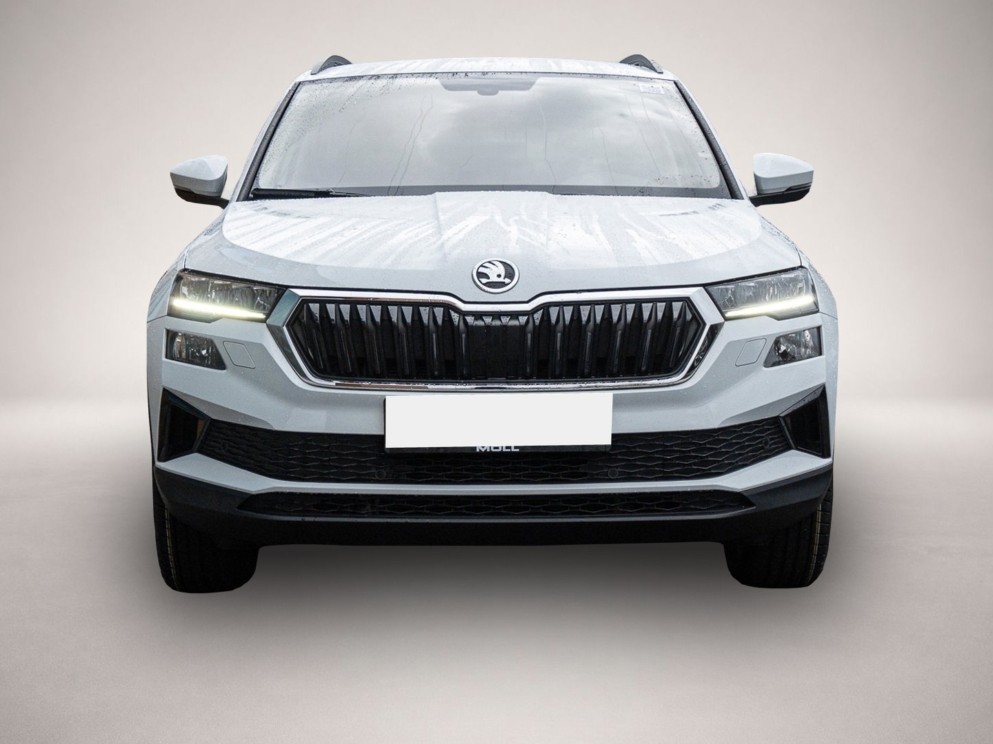 Skoda Karoq (09/2022, Diesel)