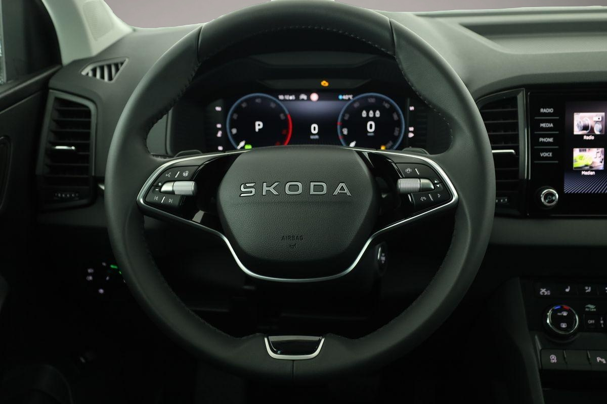 Skoda Karoq (04/2026, Benzin)