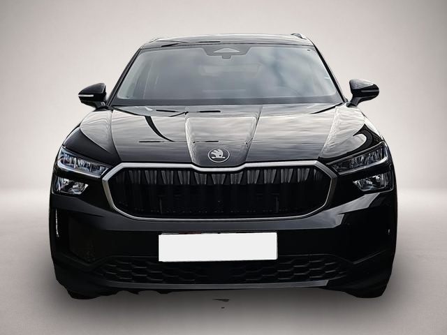 Skoda Kodiaq (02/2026, Diesel)