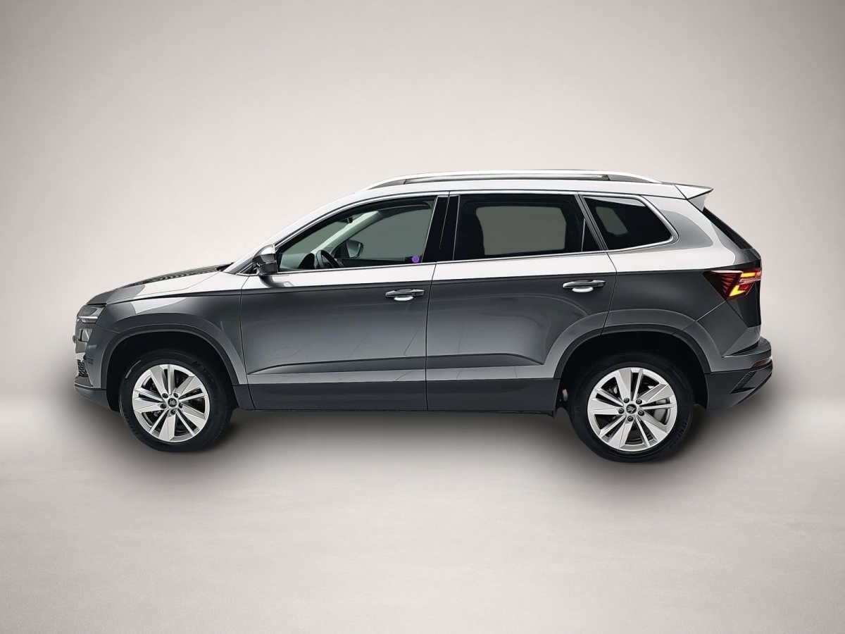 Skoda Karoq, Bild 4 von 4