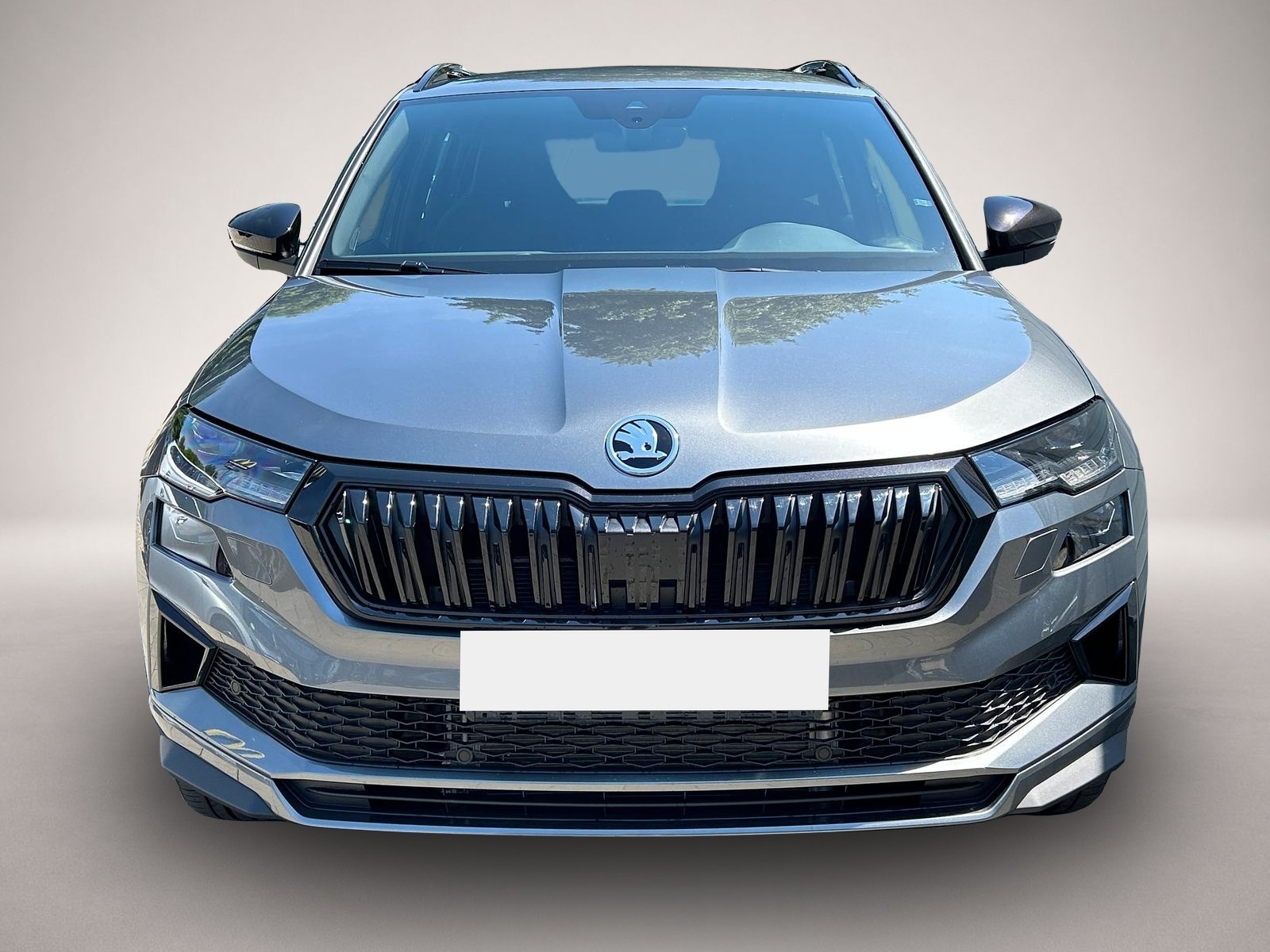 Skoda Karoq (07/2026, Diesel)