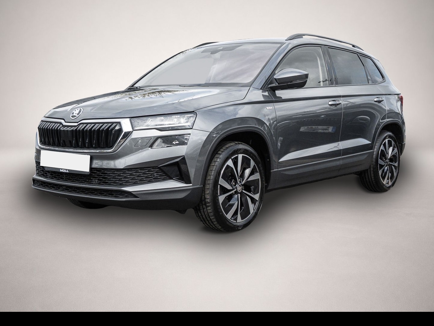 Skoda Karoq (01/2023, Benzin)