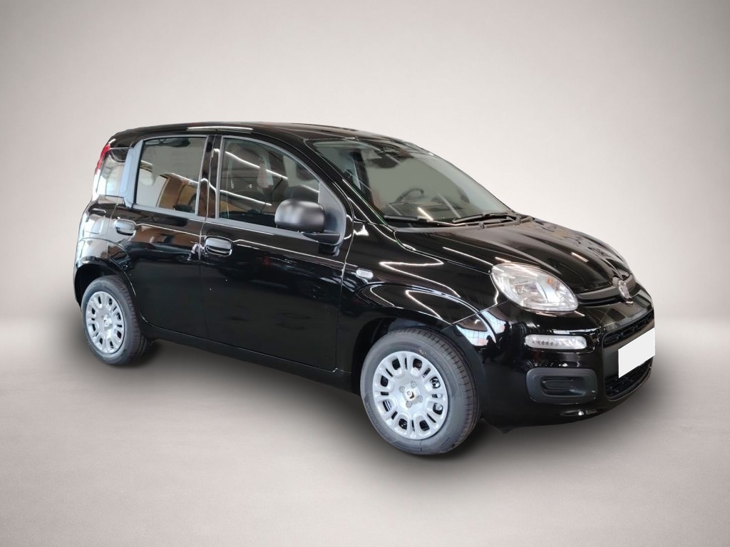 Fiat Other (06/2026, Benzin)
