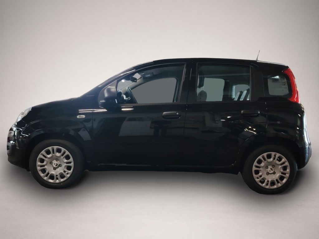 Fiat Other (06/2026, Benzin)