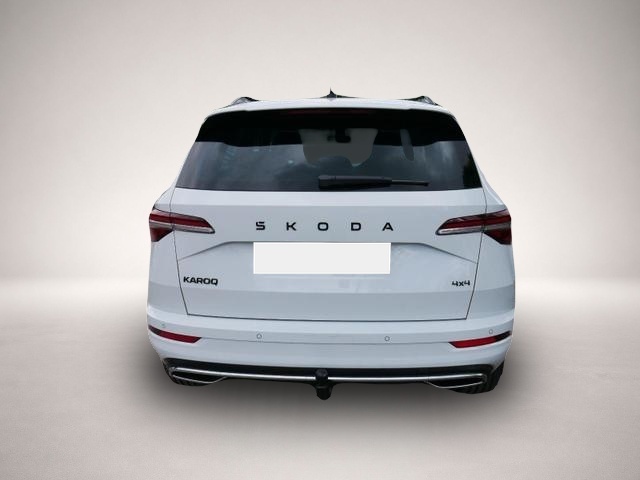 Skoda Karoq (02/2026, Benzin)
