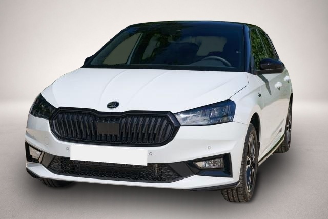 Skoda Fabia (, Benzin)
