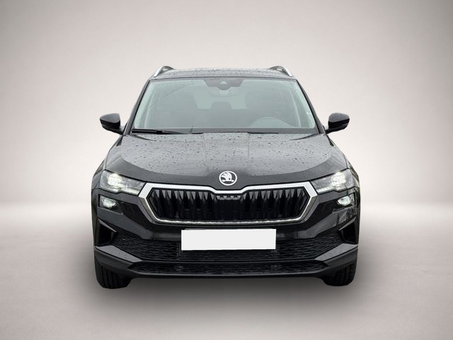 Skoda Karoq (08/2026, Benzin)