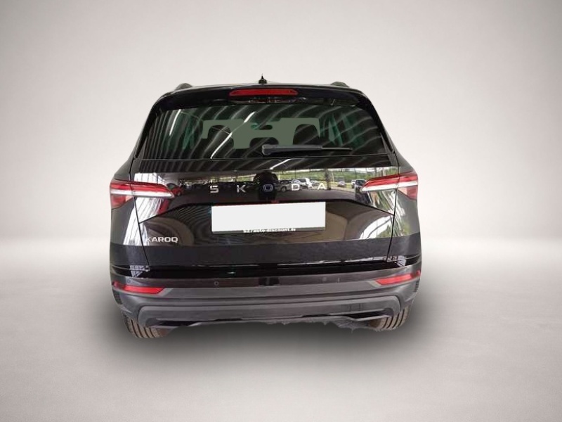 Skoda Karoq (11/2024, )