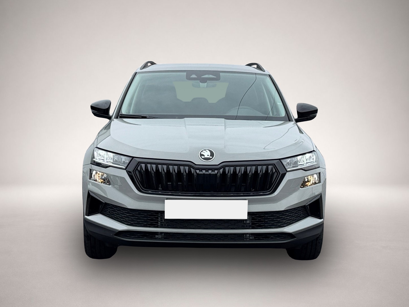 Skoda Karoq (06/2026, Benzin)